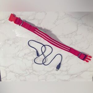 LED light up dog collar